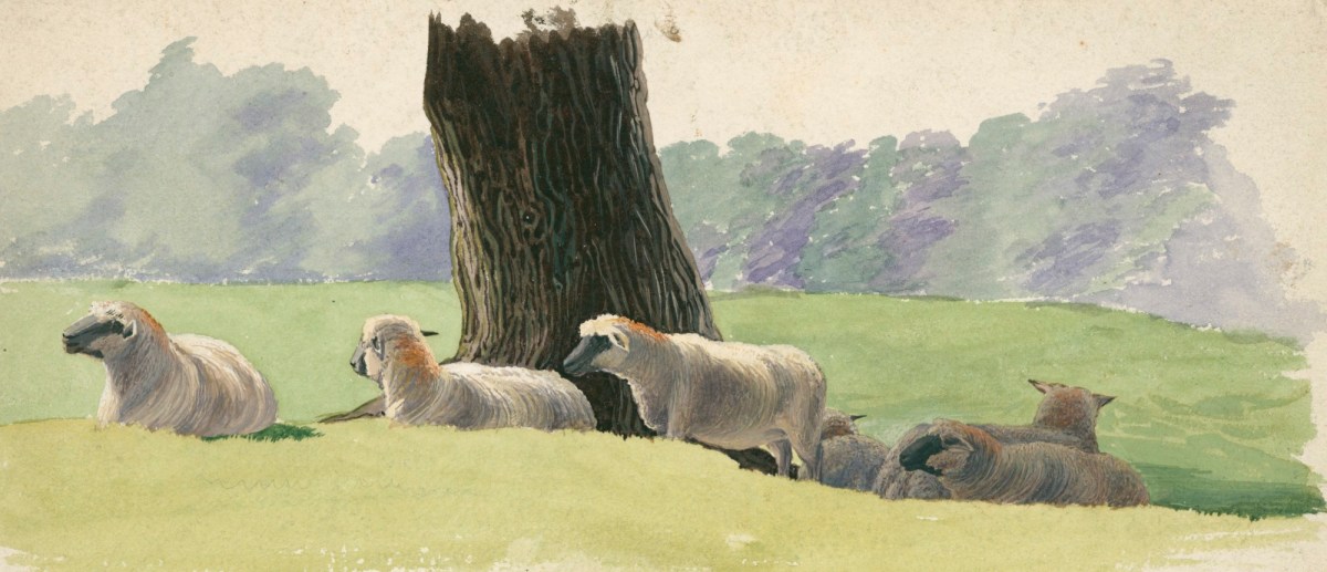 Alfred Parsons RA, Landscape with sheep under a tree