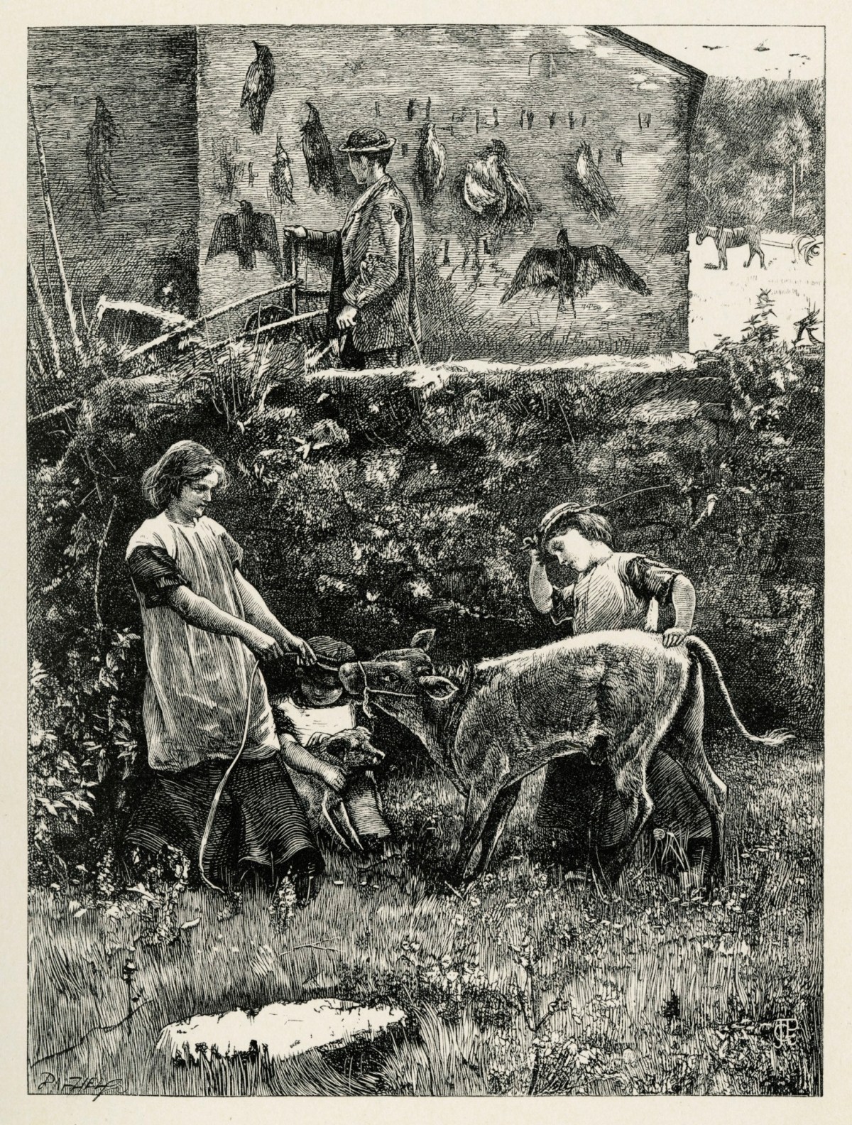 George John Pinwell, The Shadow