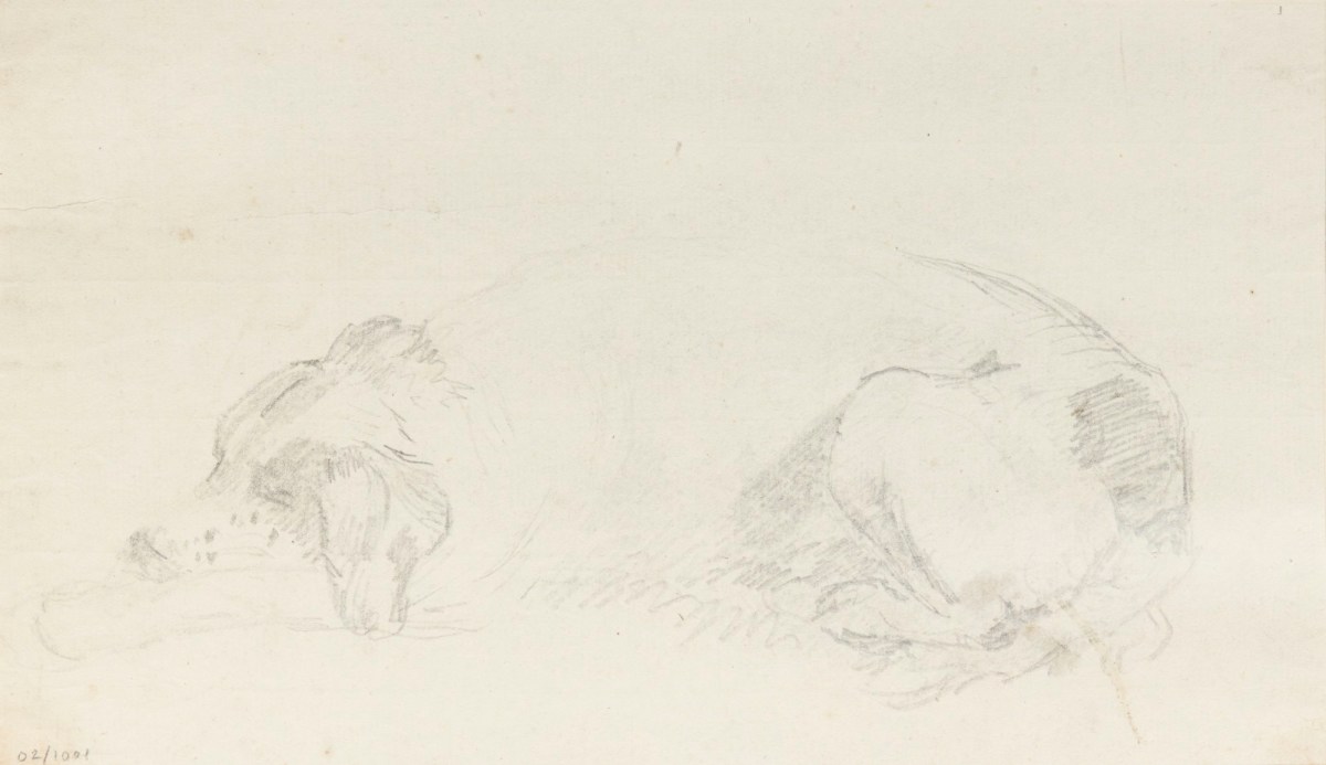 Philip Reinagle RA, A dog lying down