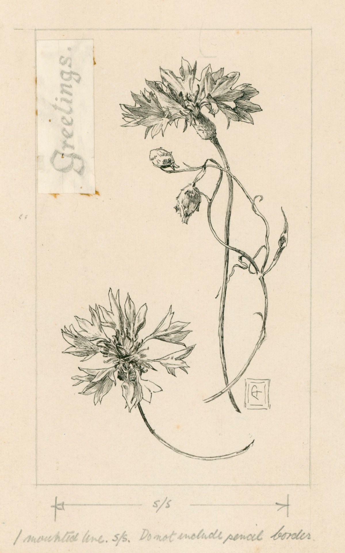 Alfred Parsons RA, Flower study for an illustration