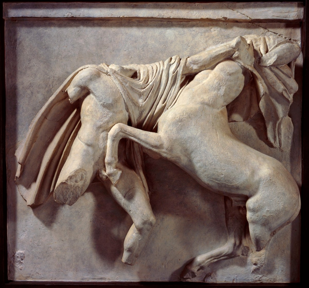 British Museum, Cast of lunging Lapith and rearing centaur from Parthenon (South Metope, VII)