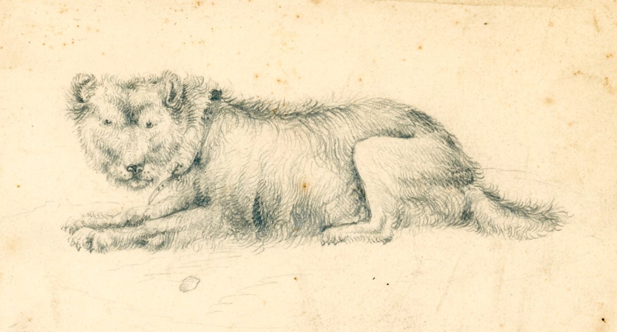 Sir Edwin Landseer RA, A long-haired dog lying down