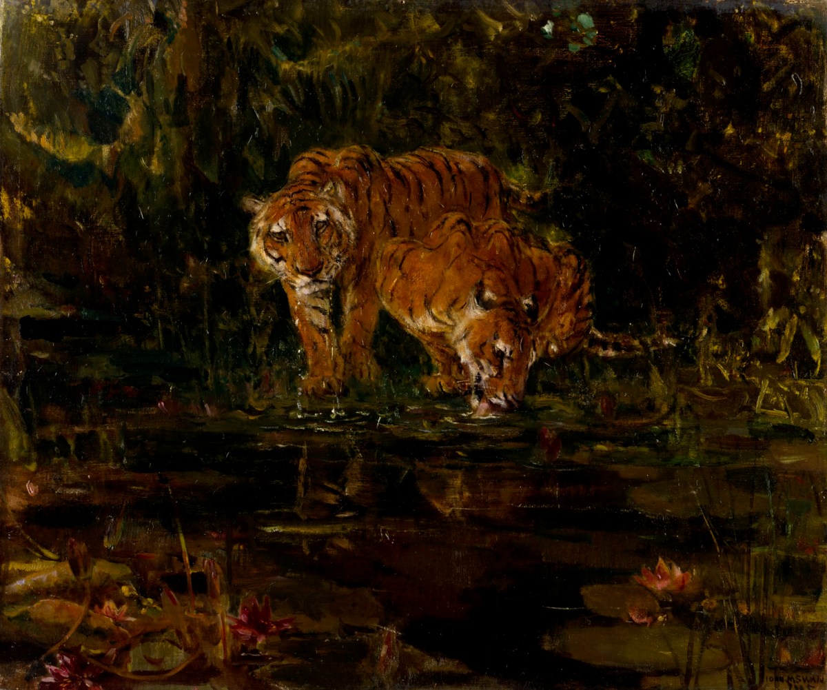 John M. Swan RA, Tigers drinking