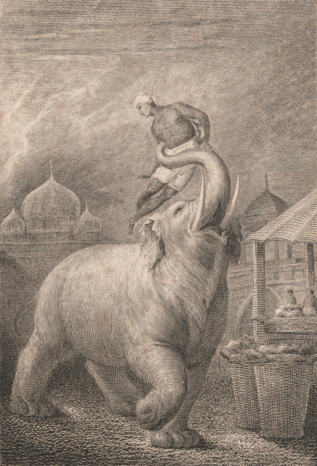 William Blake, The Elephant