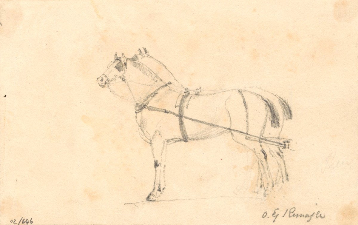 Oriana Georgiana Reinagle, Two horses in profile