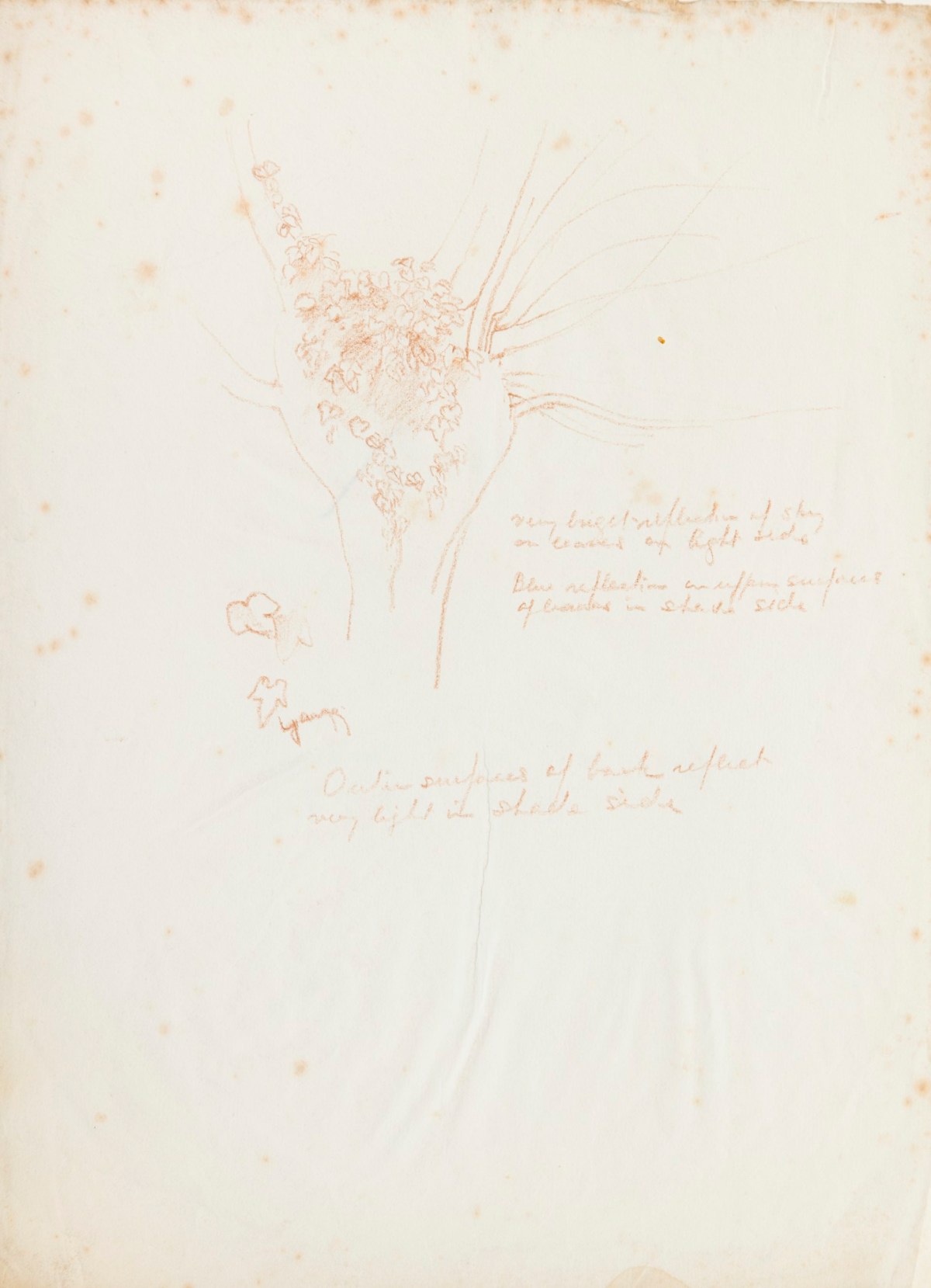 James Bateman RA, Detail of a Tree (Study for 'Pastoral')