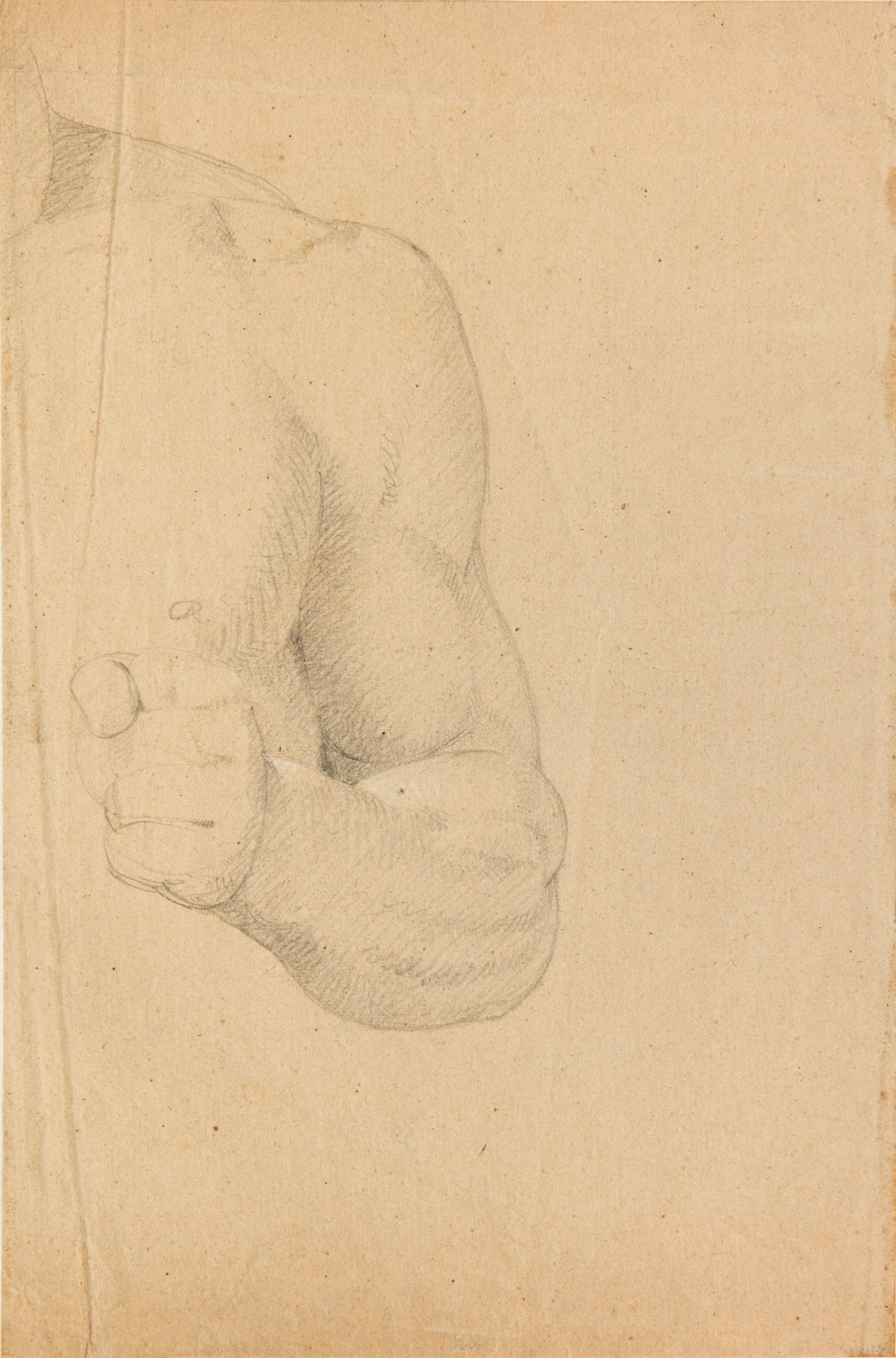Benjamin Robert Haydon, Left side of a male torso and left arm with clenched fist