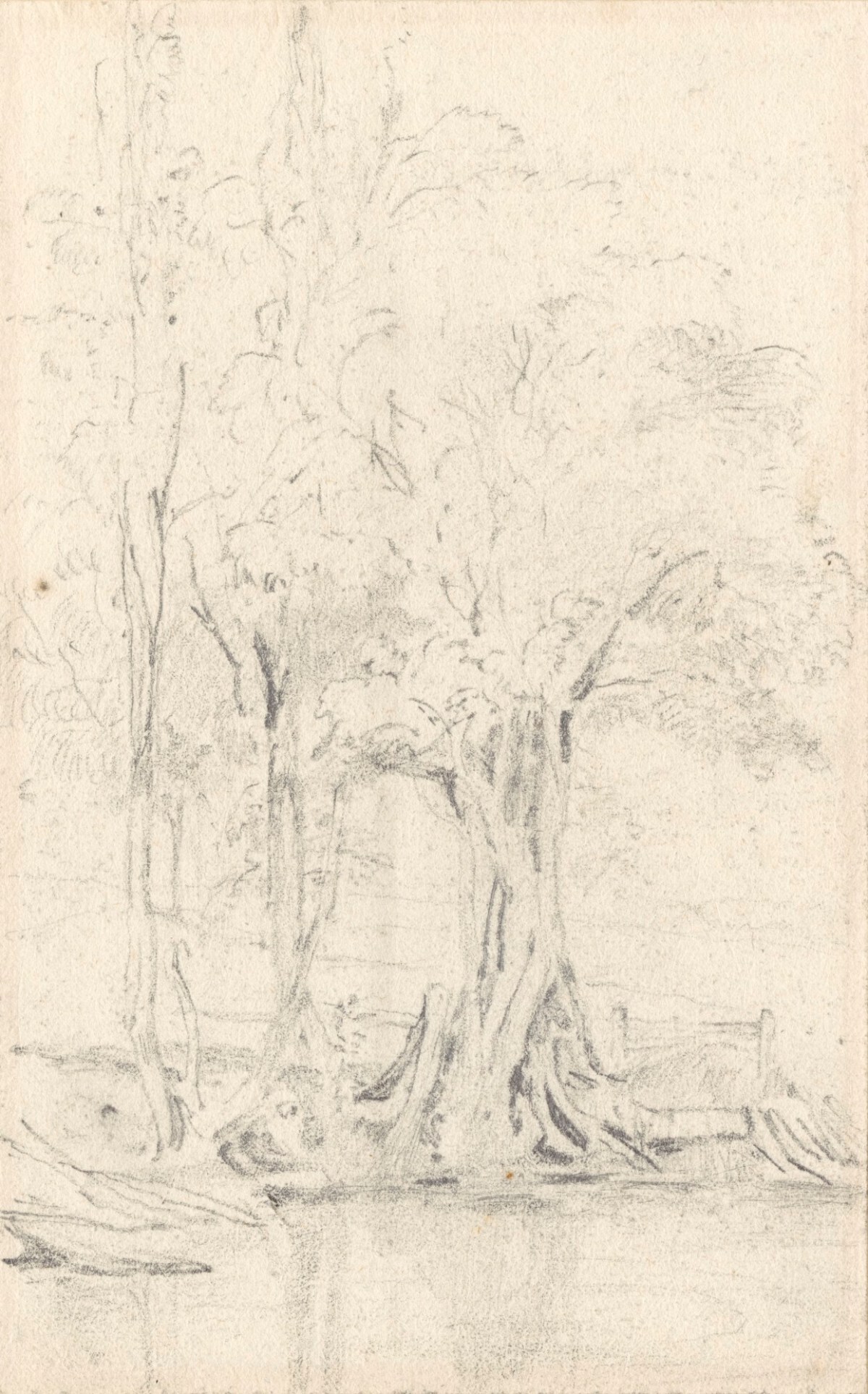 Thomas Uwins RA, Study of trees