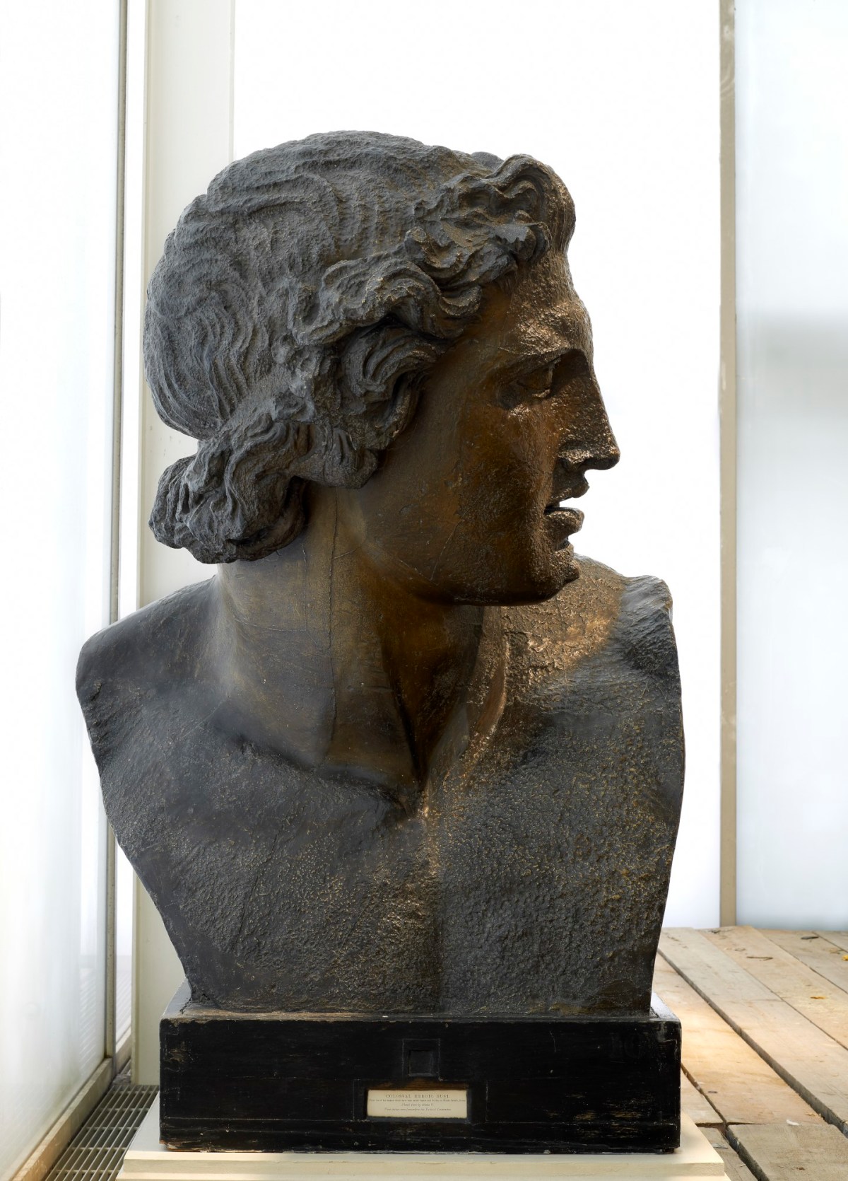 , Head of Pollux
