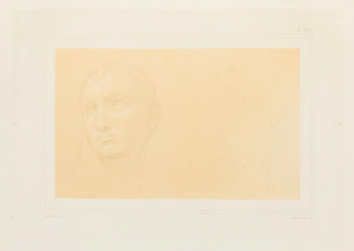 Raphael, Head of a monk and half-length drawing of the same figure.