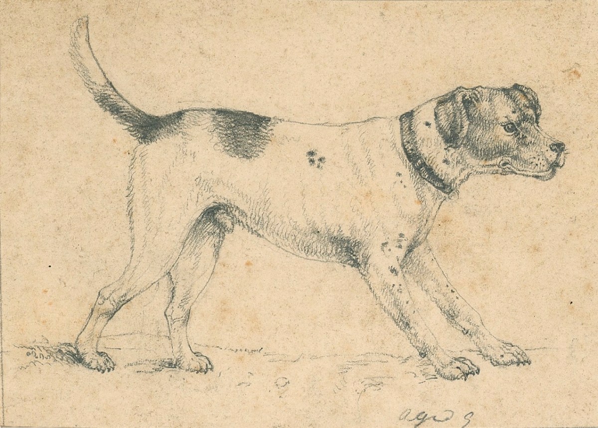 Sir Edwin Landseer RA, A short-haired dog in profile