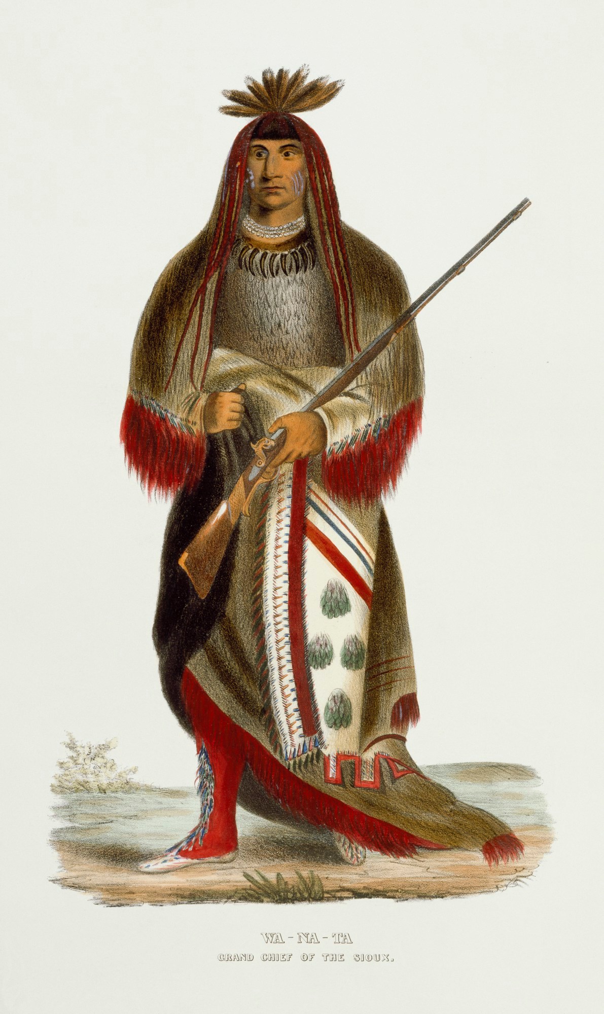 Charles Bird King, Wa-Na-Ta, Grand Chief of the Sioux.
