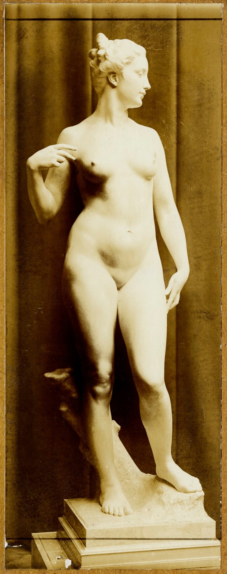 F. Hilaire d'Arcis, Atalanta