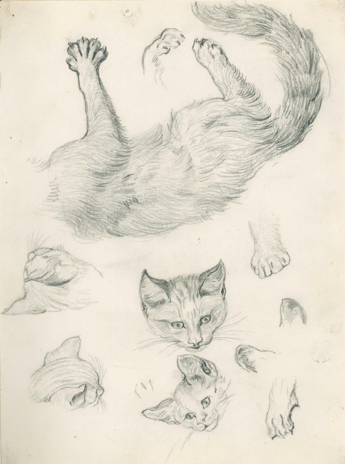 Henry Hugh Armstead RA, Studies of a cat for 'Playmates'