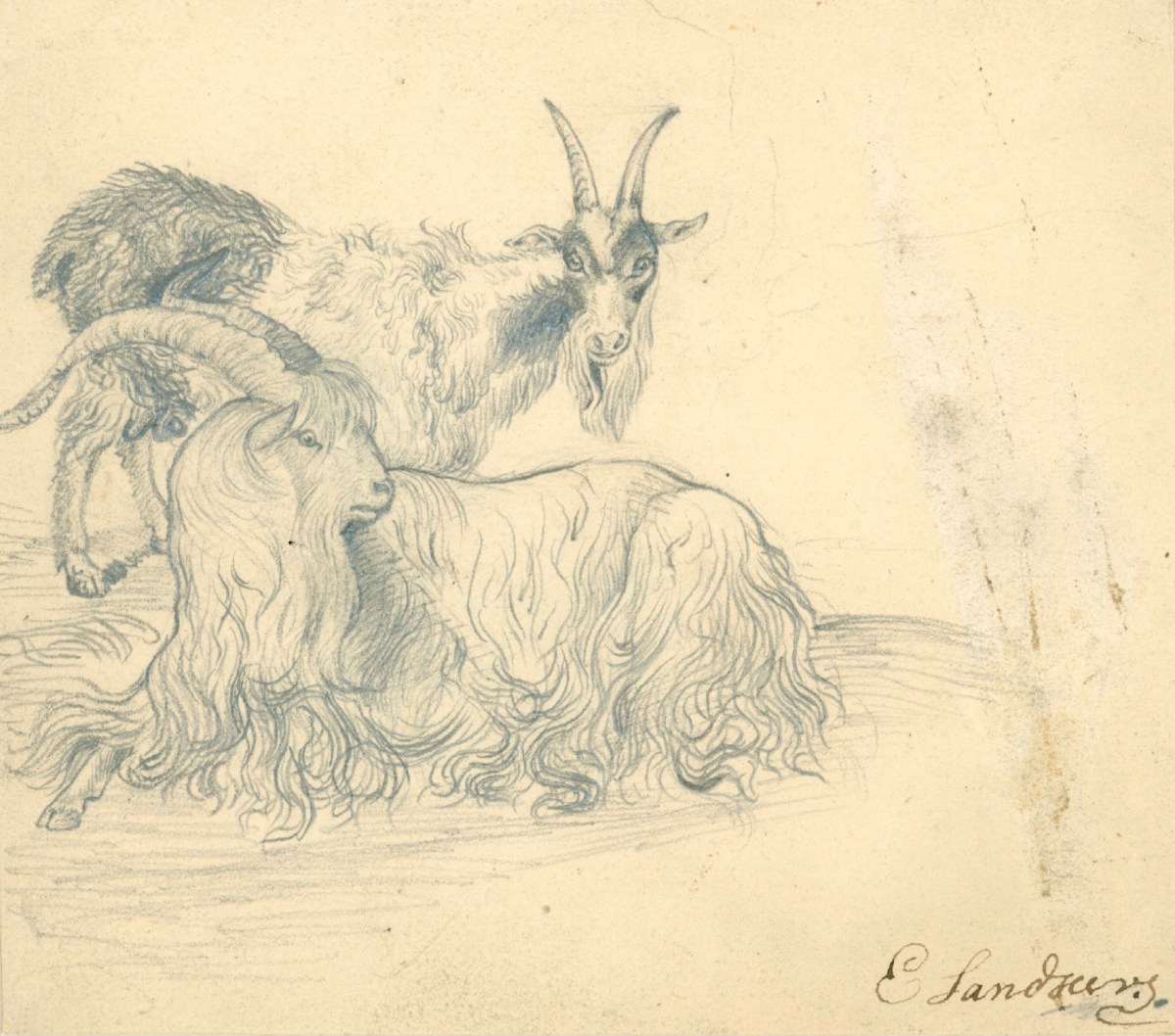 Sir Edwin Landseer RA, Study of Goats