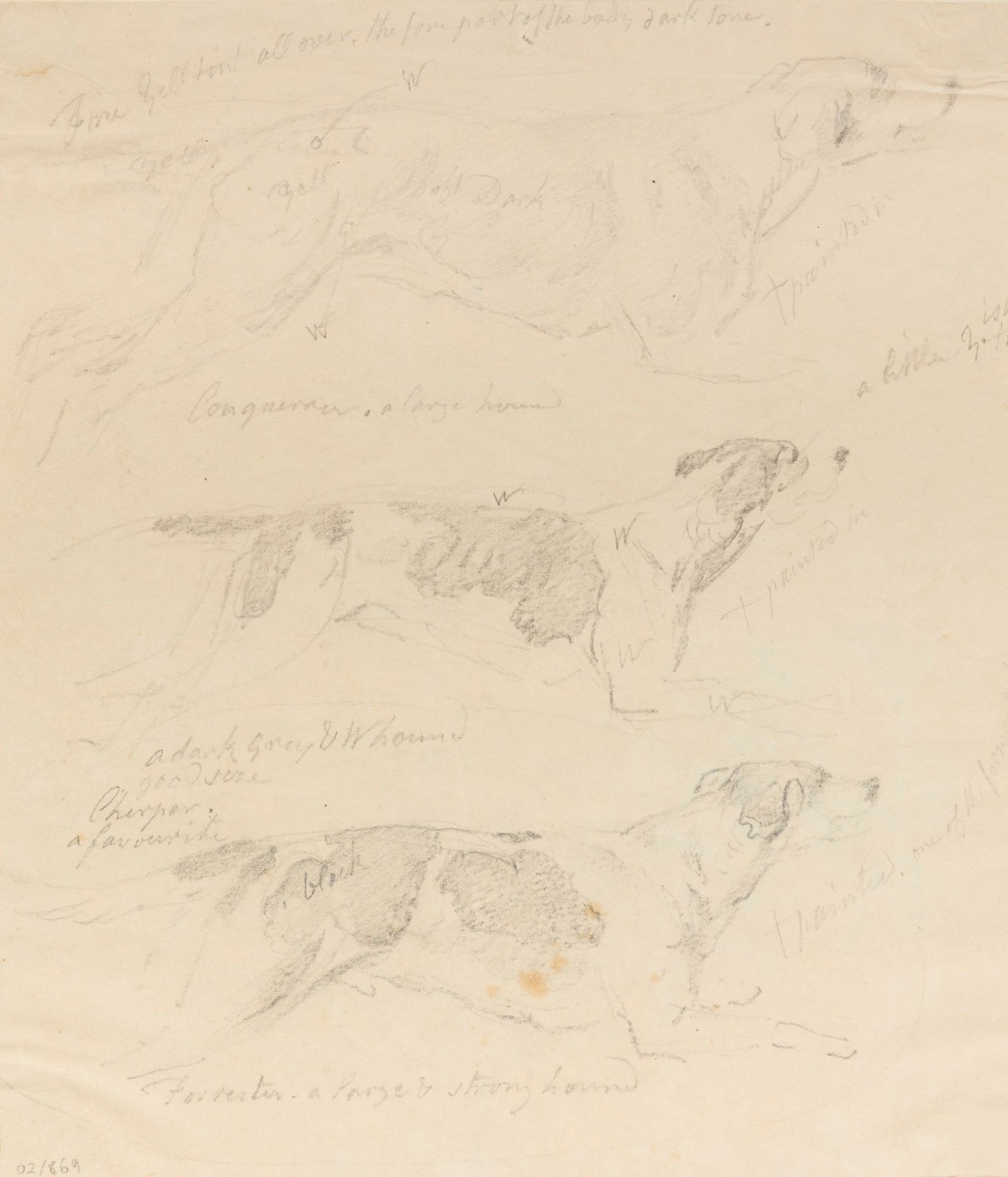 Philip Reinagle RA, Sheet of drawings of dogs in motion