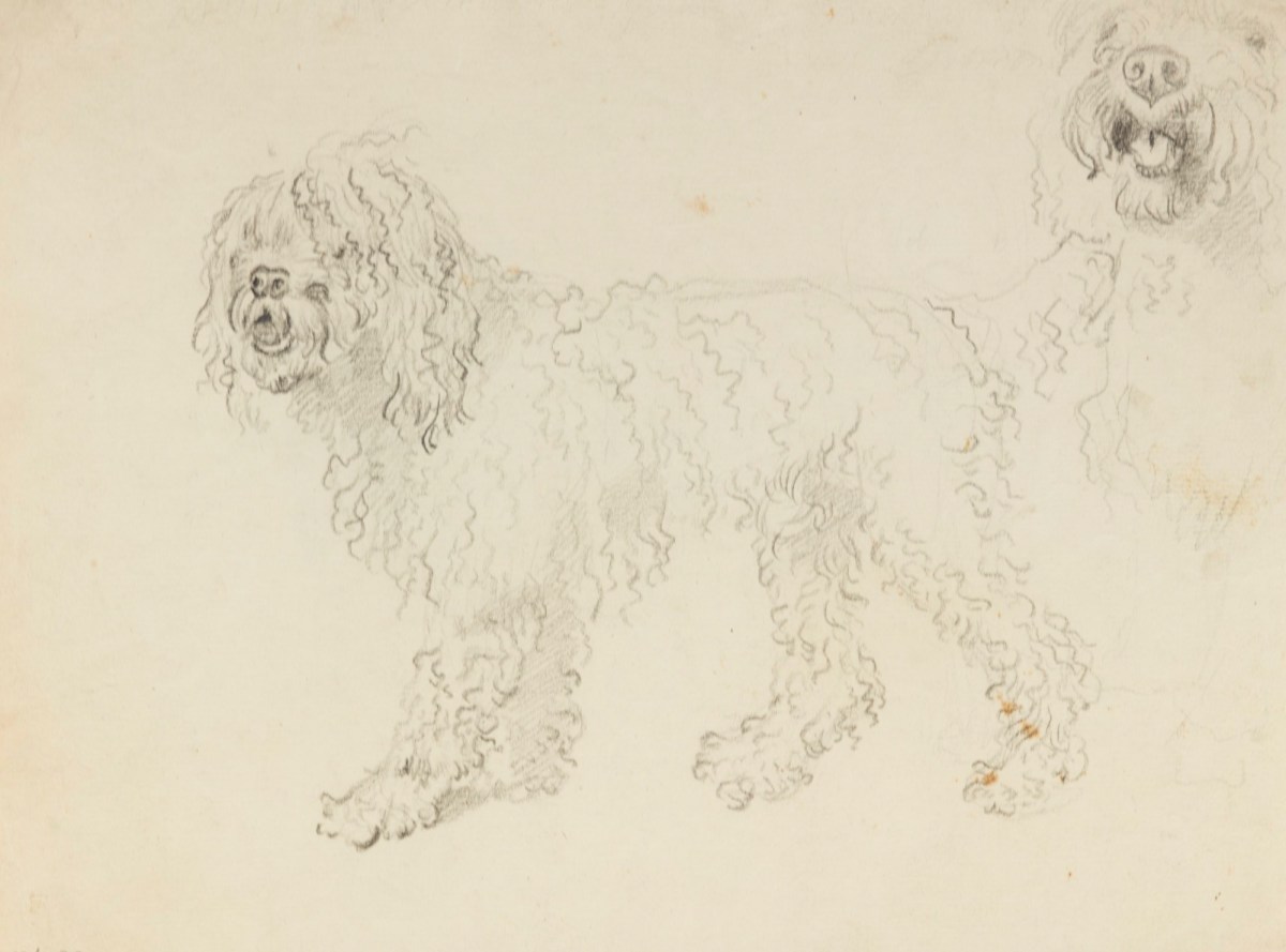 Philip Reinagle RA, Studies of dogs