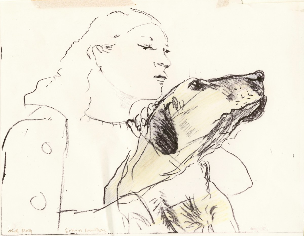 Sonia Lawson RA, Old Dog