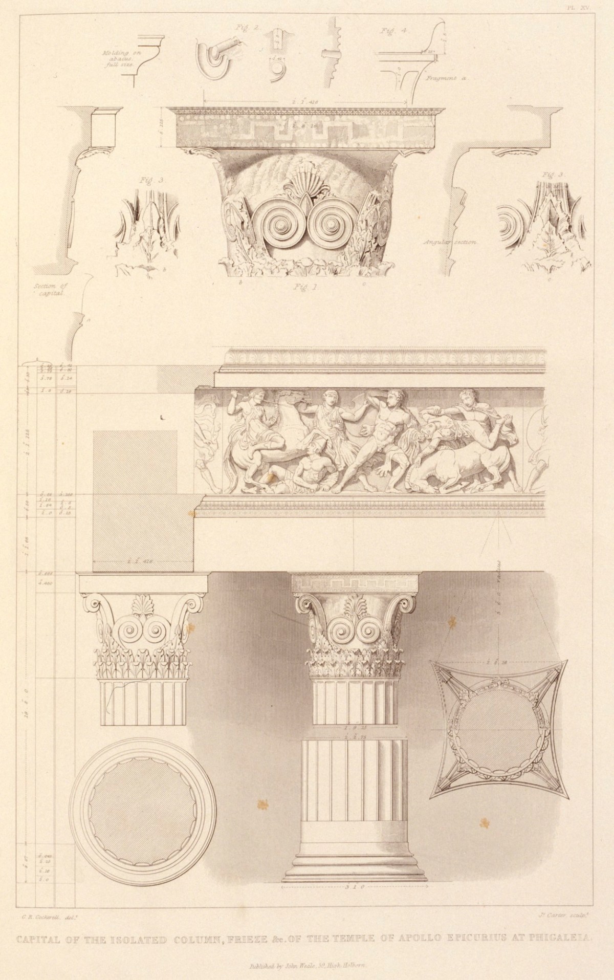 C.R. Cockerell RA, Temple of Apollo Epikourios, Bassae: details of isolated column in interior