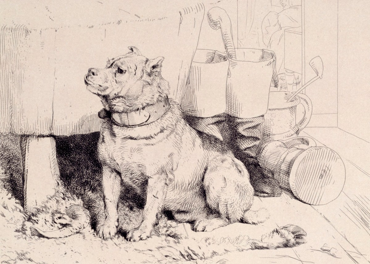 Sir Edwin Landseer RA, Low Life