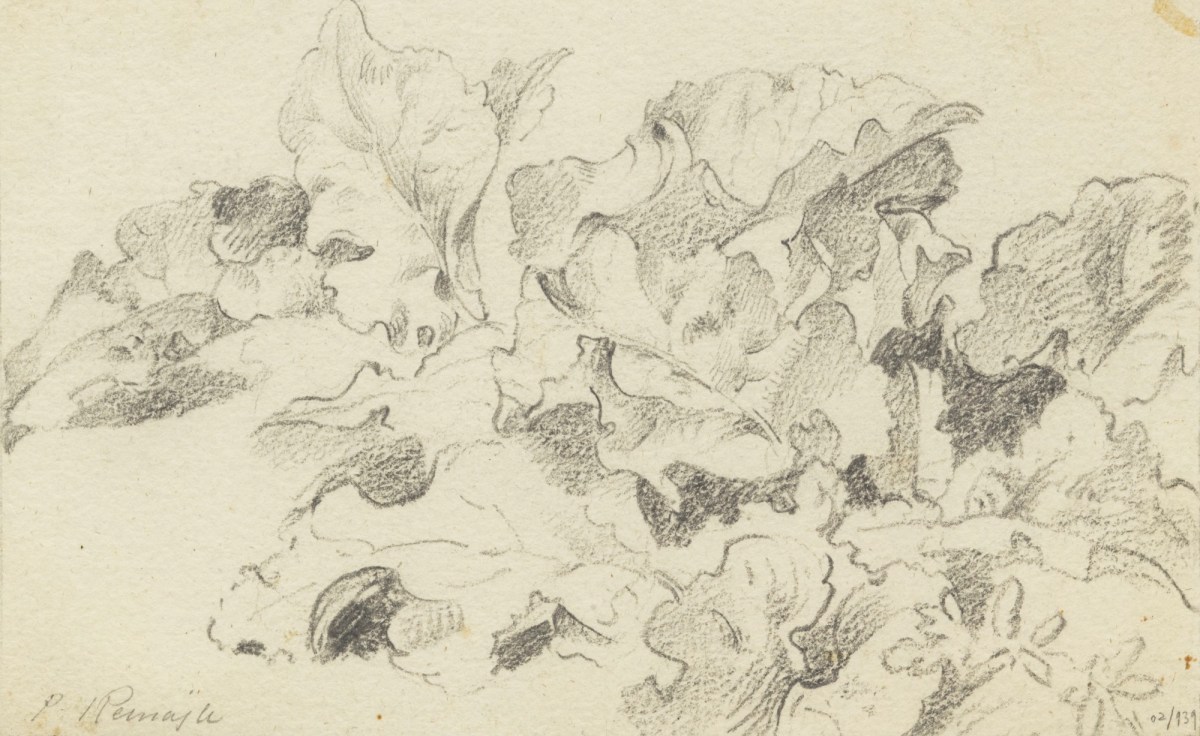Philip Reinagle RA, A group of leaves