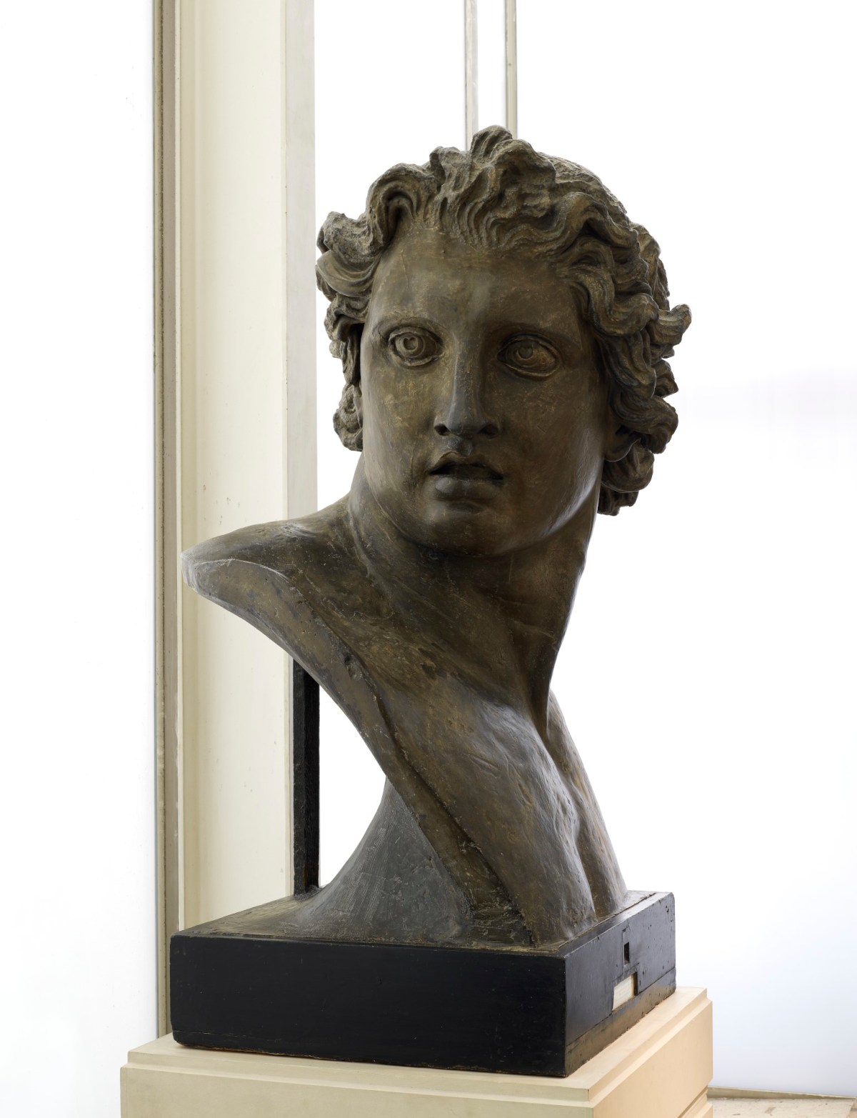 , Head of Castor