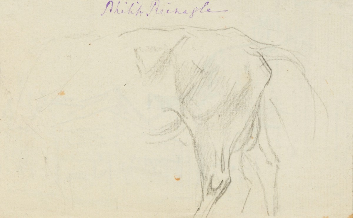 Philip Reinagle RA, Drawing of the back half of a cow