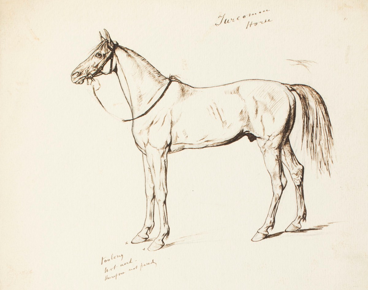 Henry Hugh Armstead RA, A "Turcoman" horse