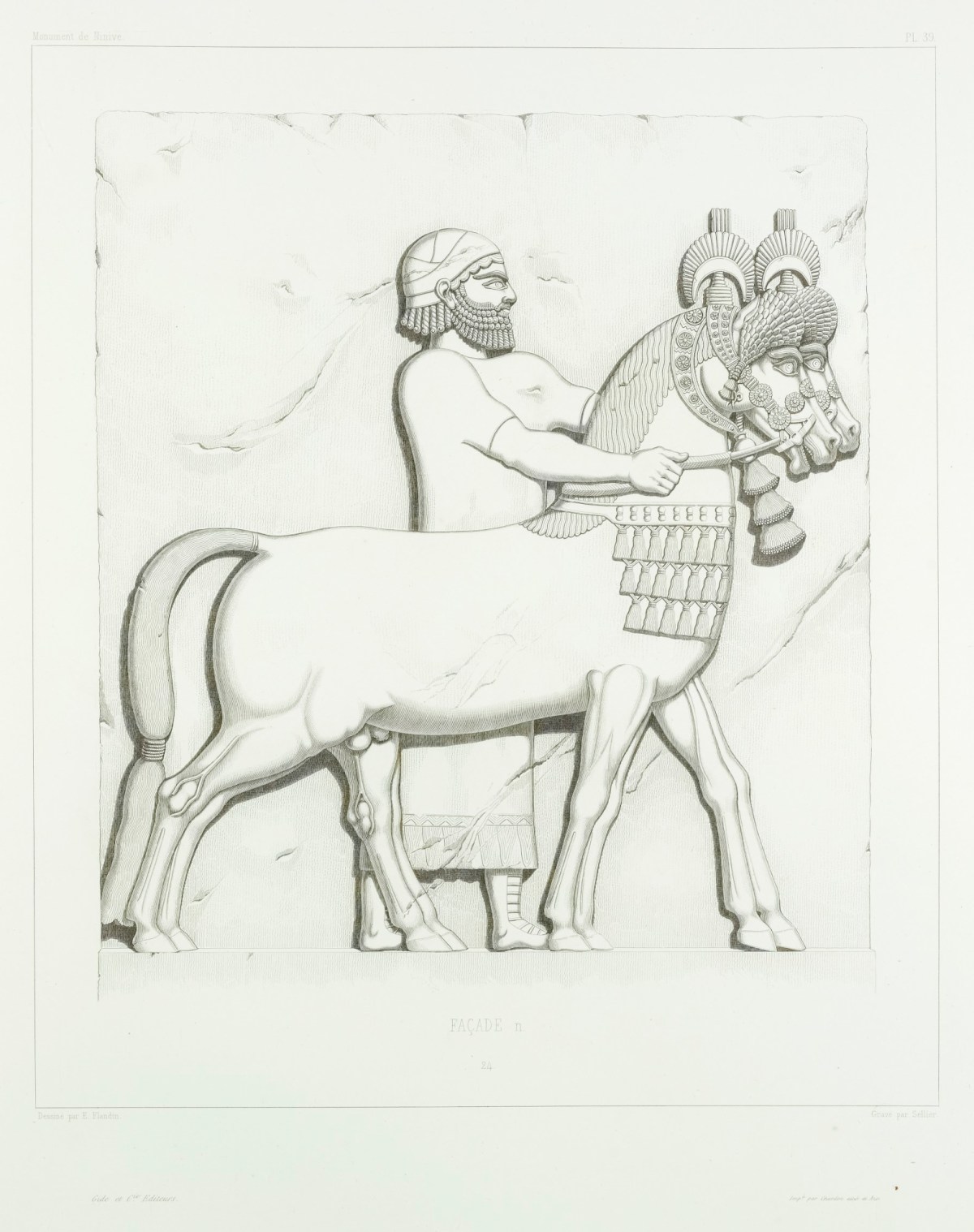 Eugène Flandin, Bearded man driving two horses: Bas-relief 24 from Facade n.