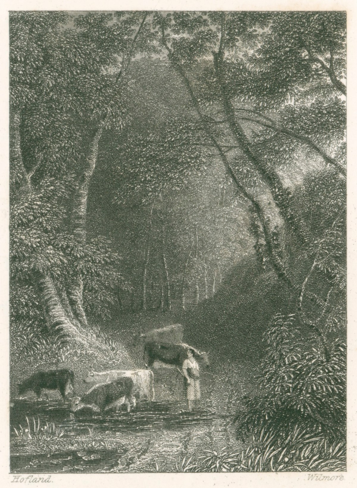 T.C. Hofland, The Lane