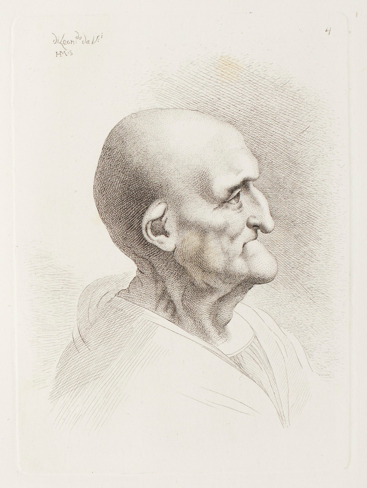 Leonardo da Vinci, Profile head of an old man