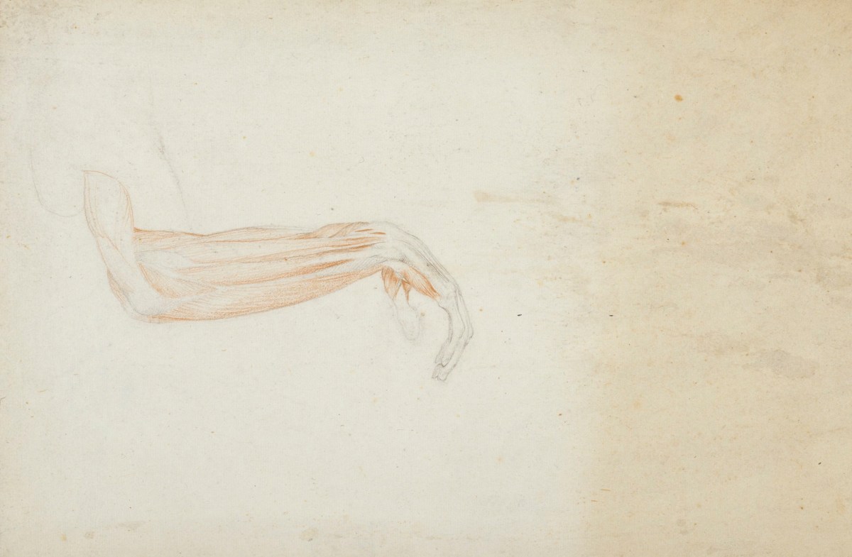 John Flaxman RA, Anatomical drawing of the muscles of the lower arm and hand