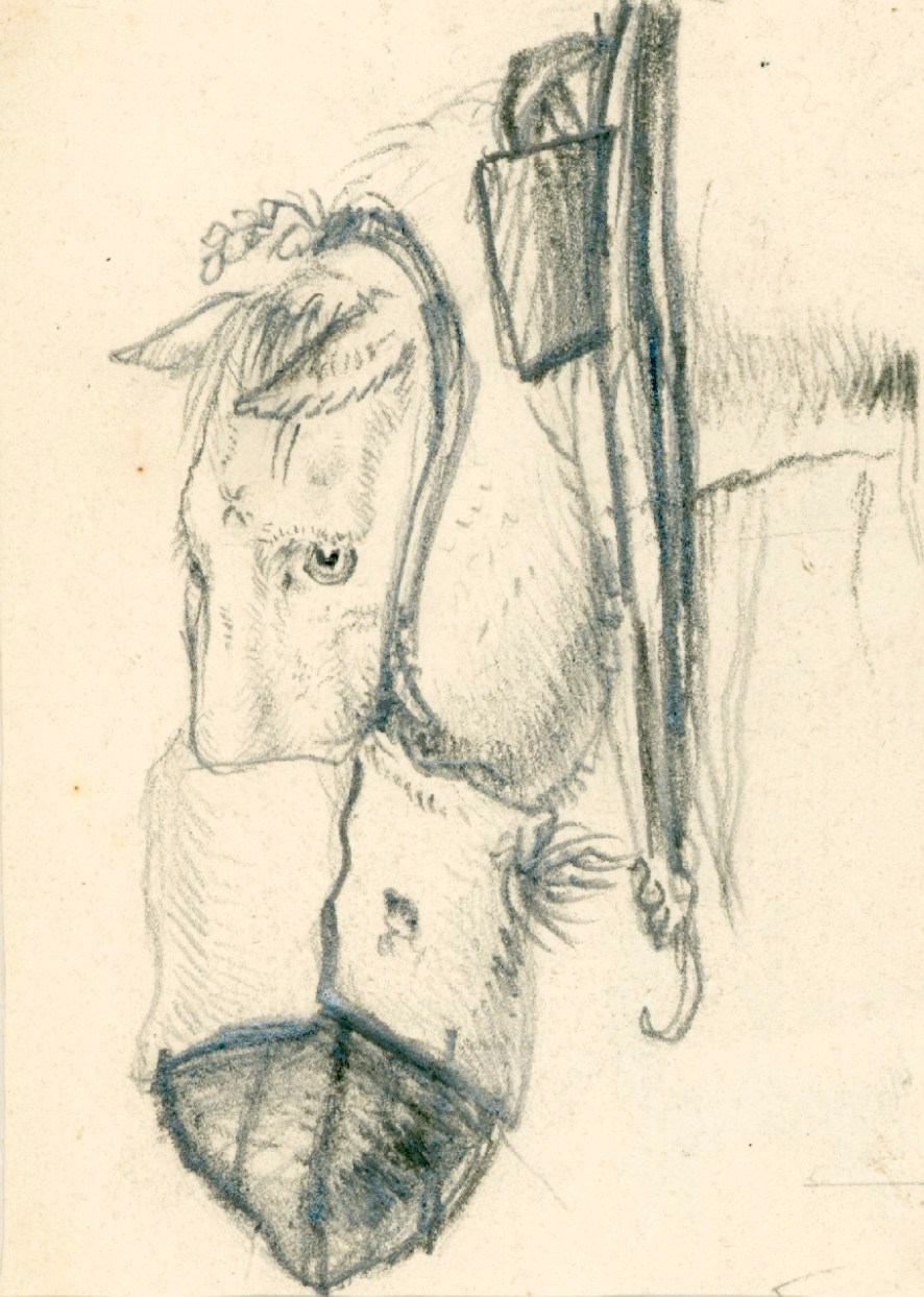 Sir Edwin Landseer RA, A horse's head with nose bag