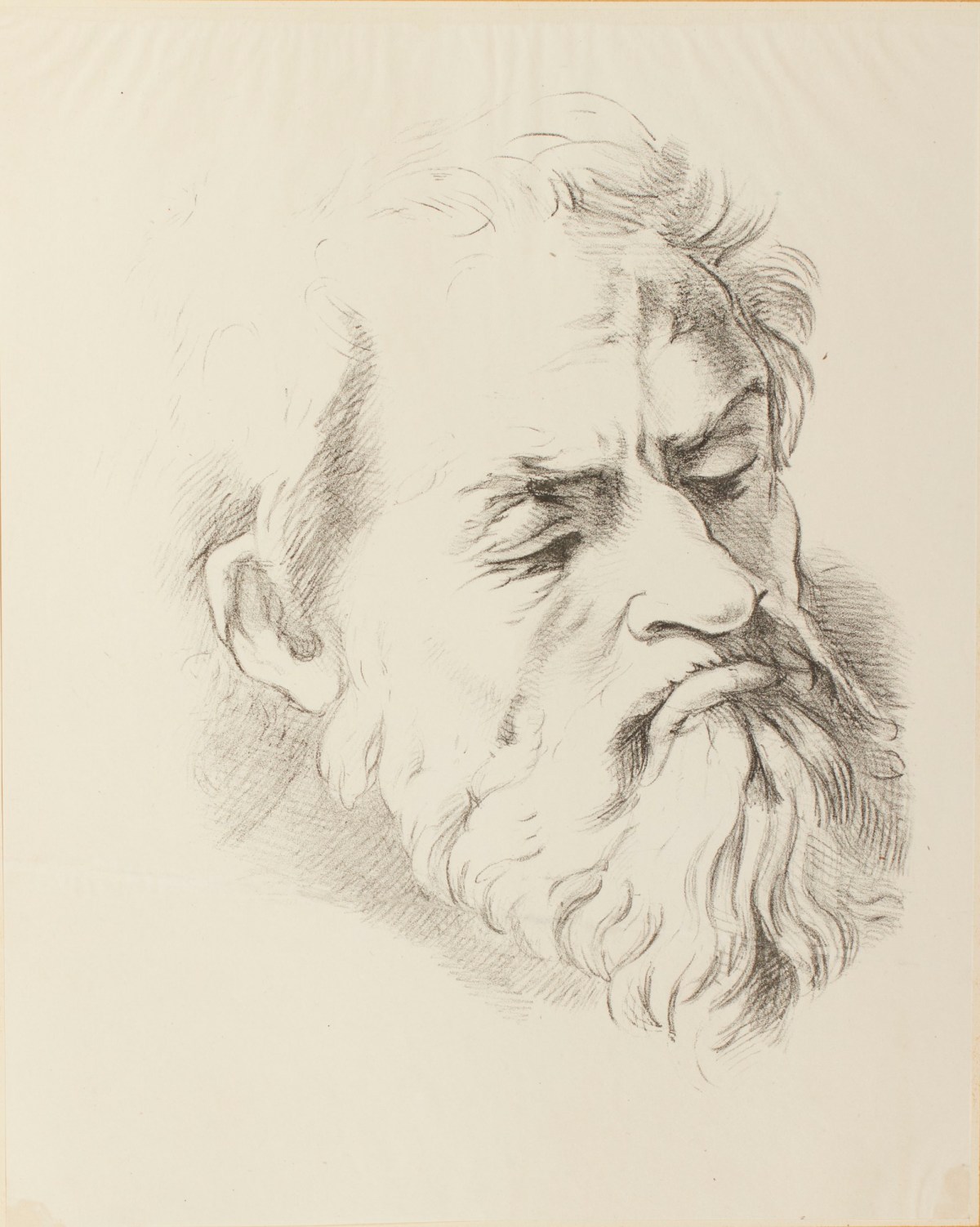 Raphael, Plate 26: 'A noble study' attributed to Raffaello Sanzio