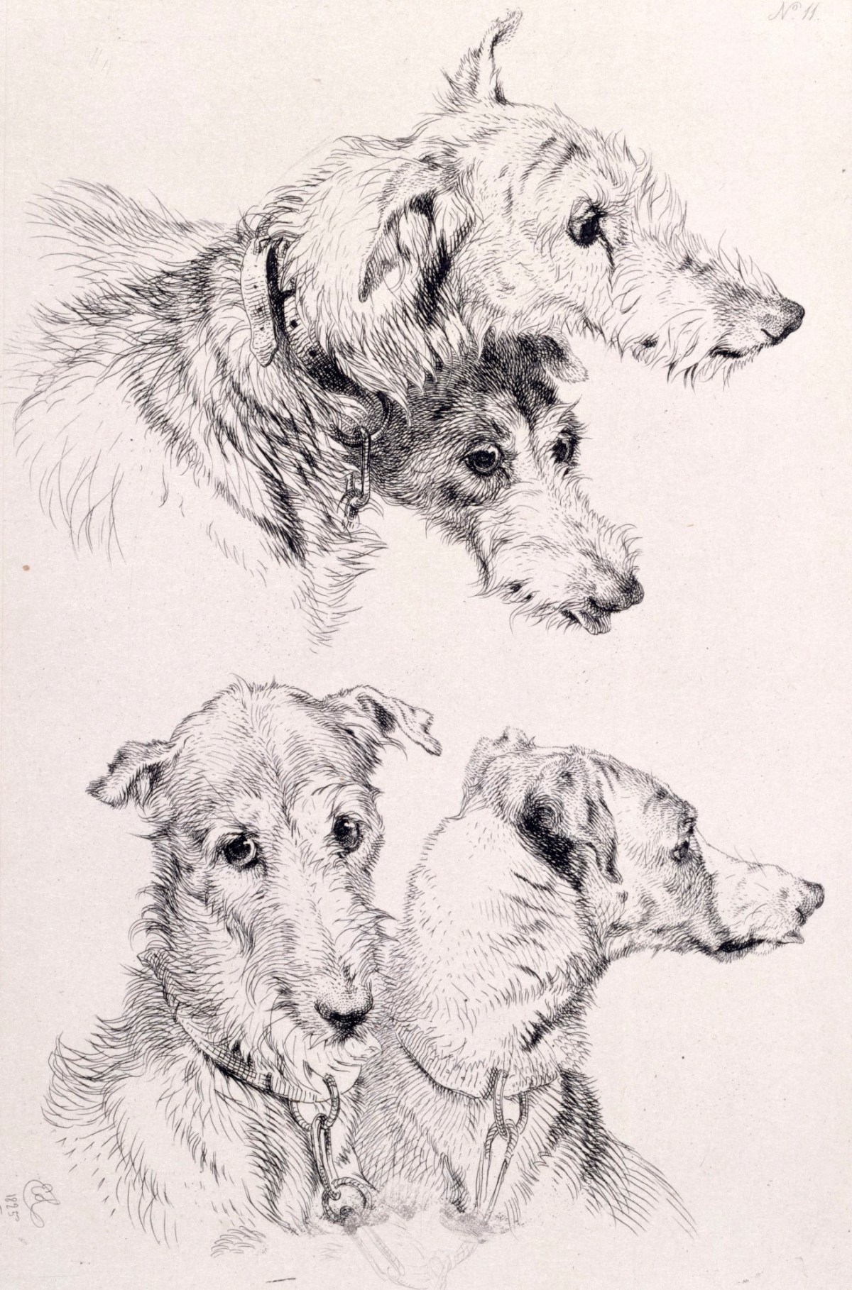 Sir Edwin Landseer RA, The Four Irish Greyhounds