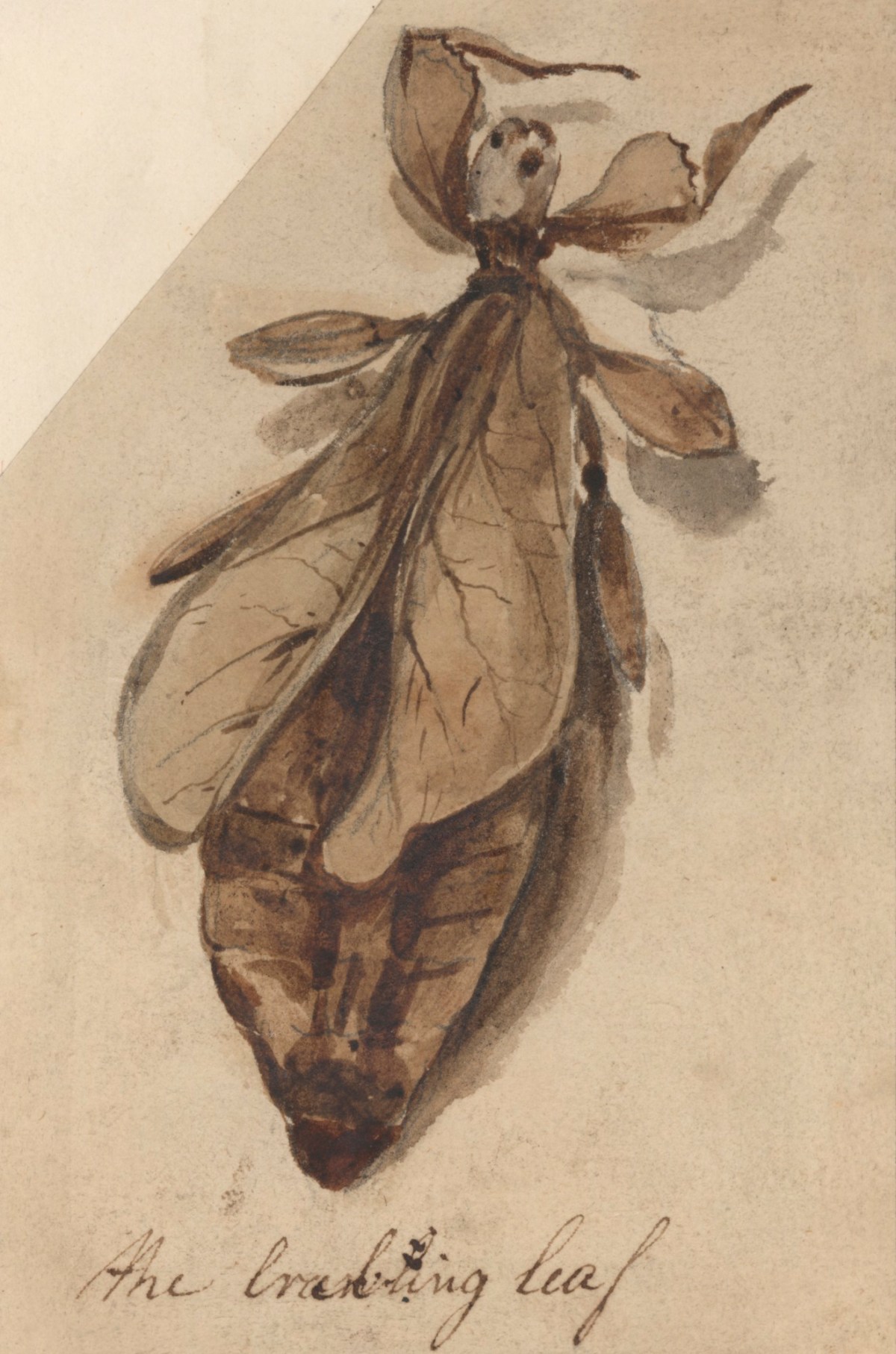 Philip Reinagle RA, The Crackling Leaf