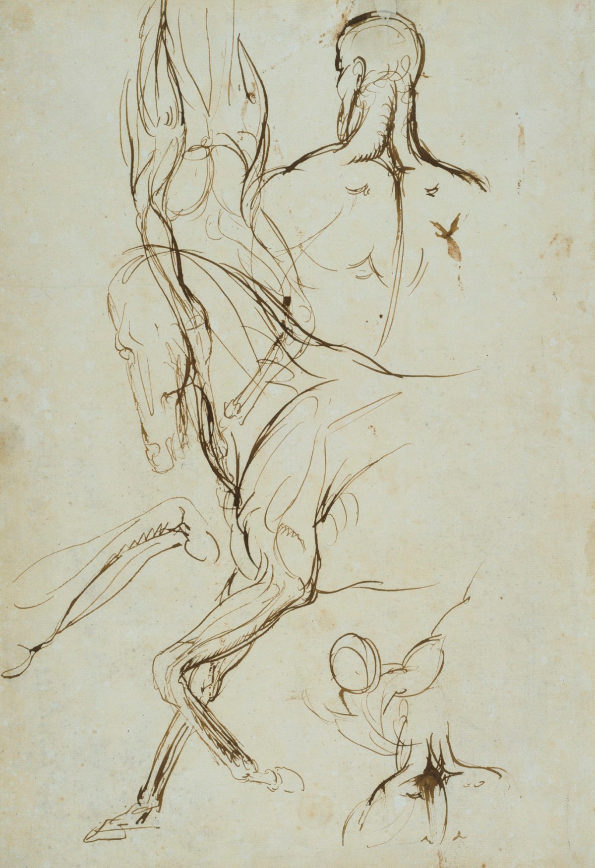 Benjamin Robert Haydon, Sheet of sketches including a horse in profile