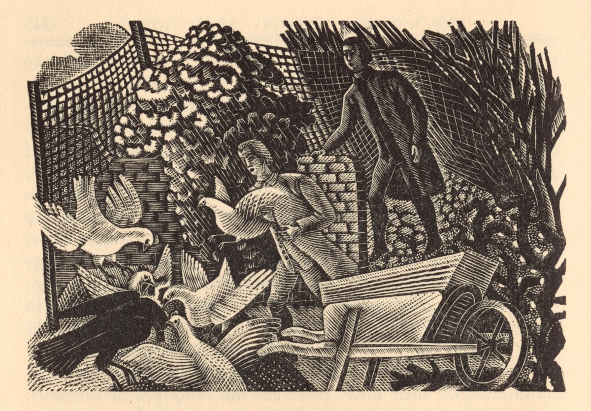 Eric Ravilious, The motion of birds