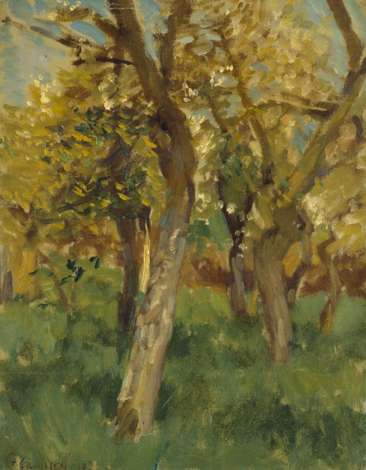 Sir George Clausen RA, Study of blossoming trees in an orchard