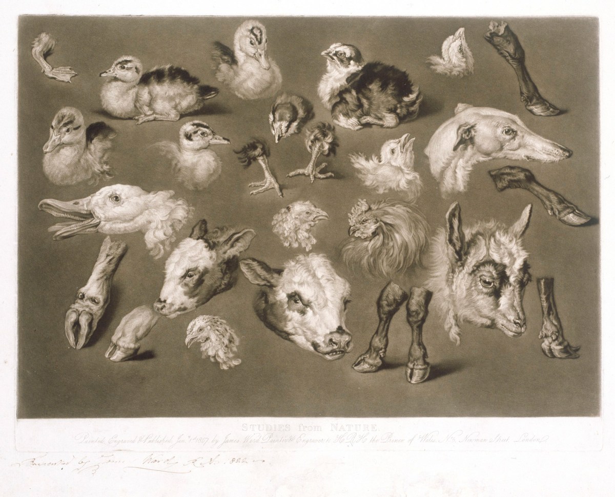 James Ward RA, Studies from Nature