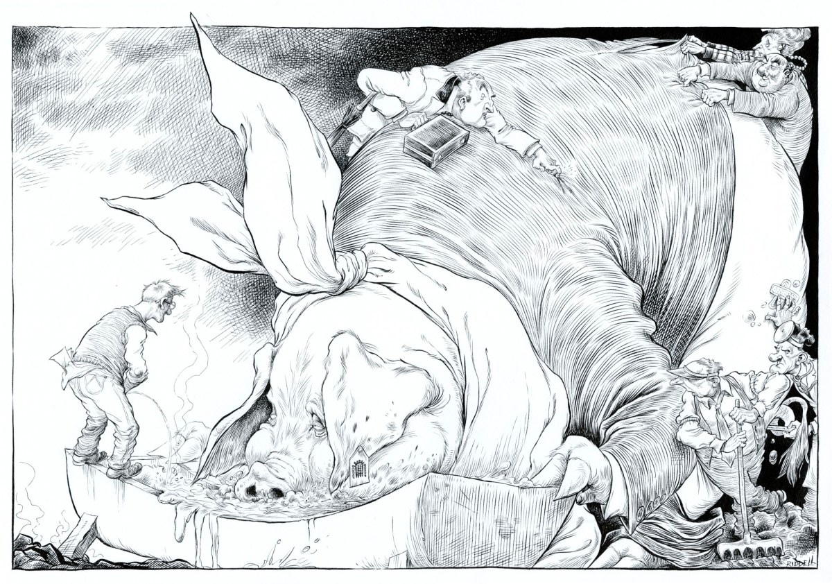 Chris Riddell, A Parliamentary Hog