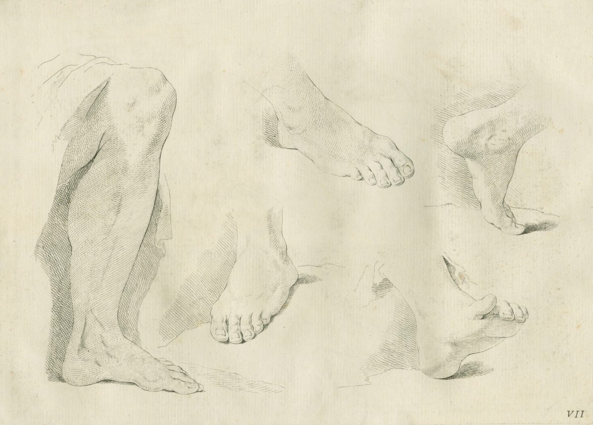 Giovanni Battista Piazzetta, Studies of three left feet, a right foot and a right leg