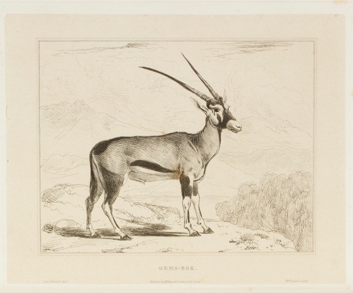 Samuel Daniell, The gems-bok