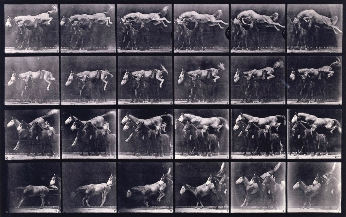 Eadweard Muybridge, Jumping over three horses; chesnut horse Hornet.