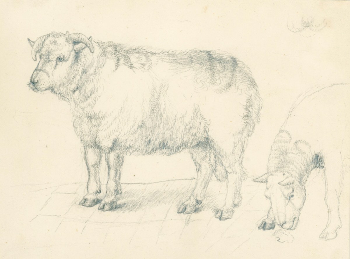 Sir Edwin Landseer RA, Sheep