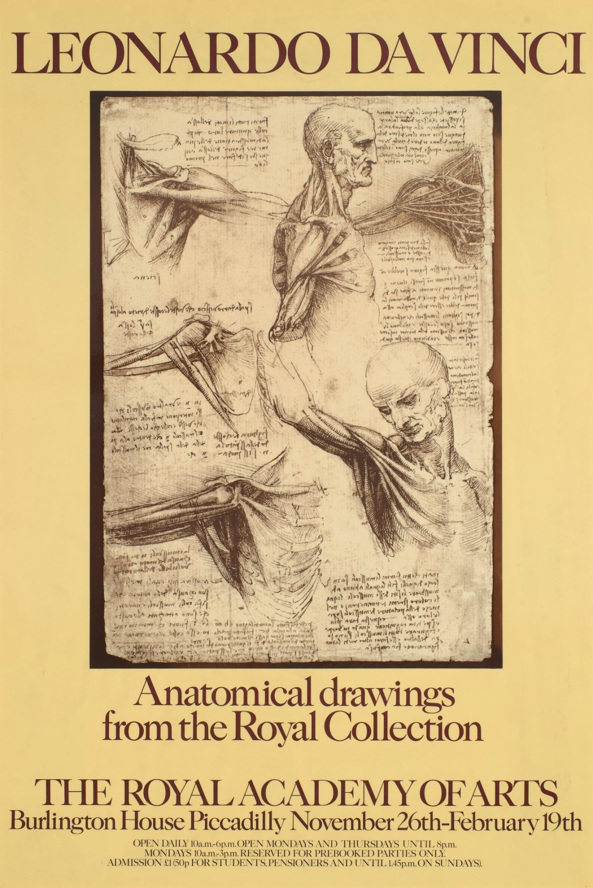 Leonardo Da Vinci Anatomical Drawings From The Royal Collection 