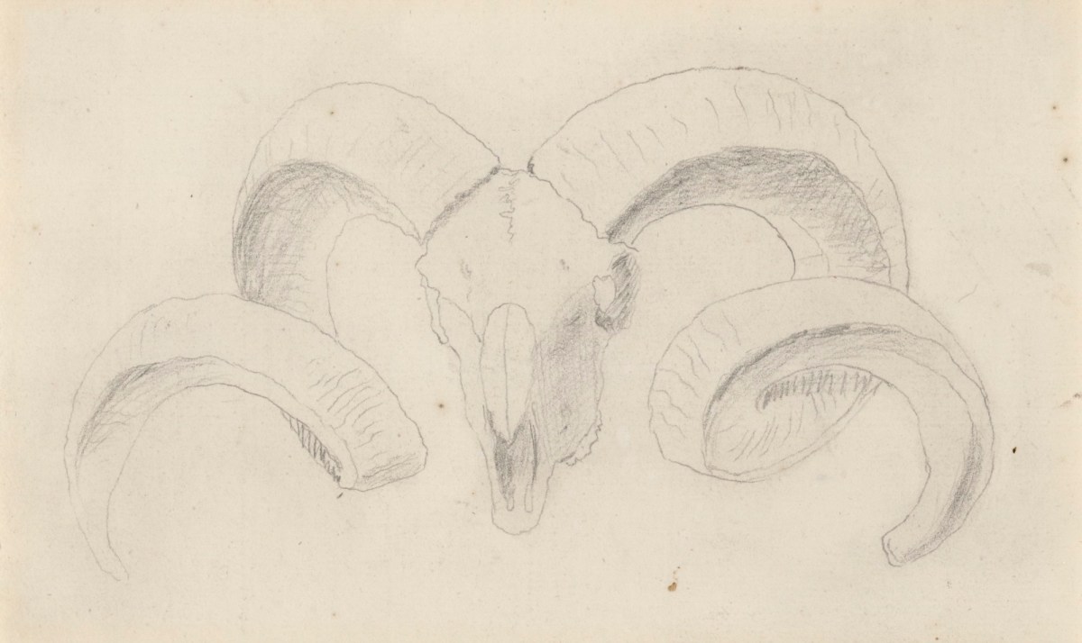Jacob Schijnvoet, Study for the tailpiece of Chapter I in Cheselden's Osteographia