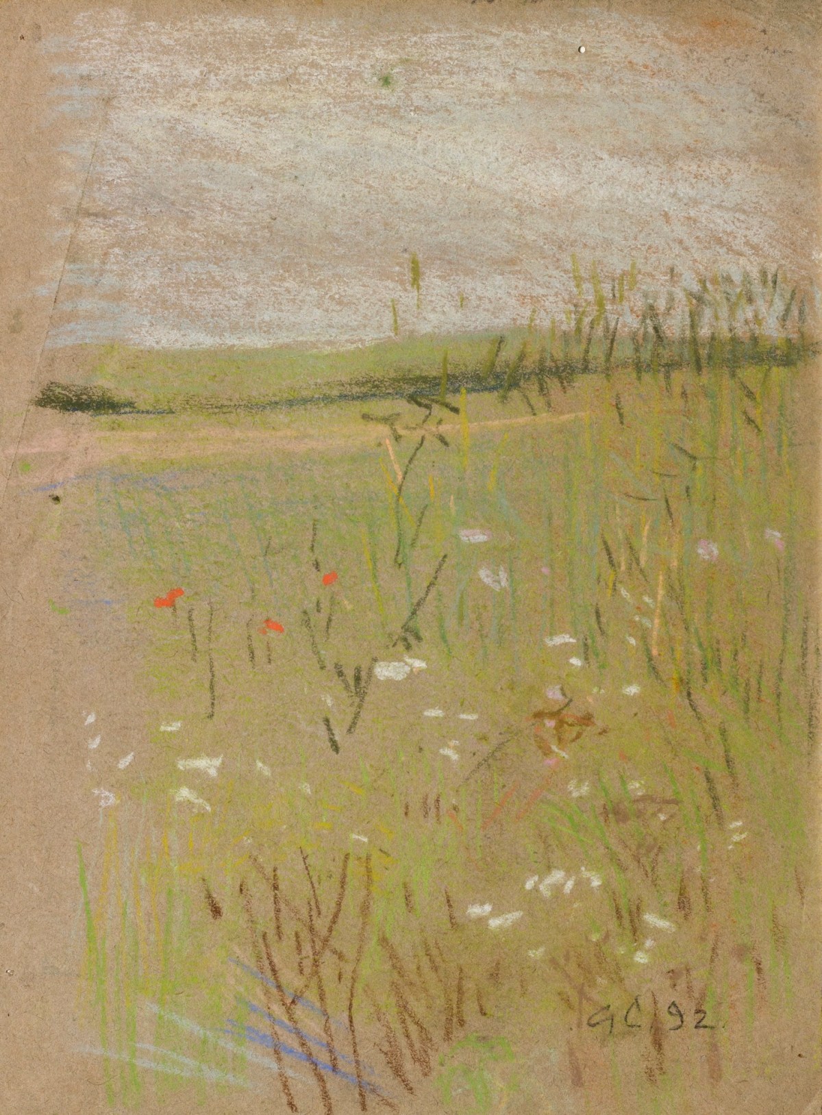 , Study of a meadow