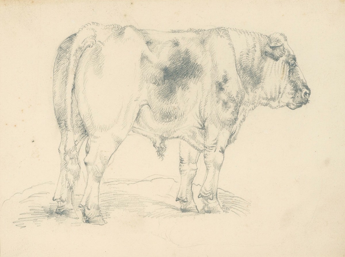Sir Edwin Landseer RA, A bull - standing in profile