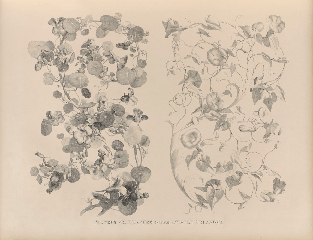 Ludwig Gruner, Flowers from nature ornamentally arranged
